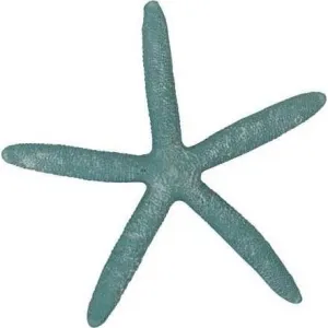Aqua Starfish