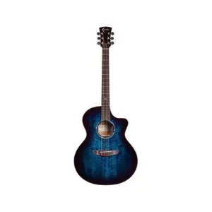 Faith Neptune Blue Moon Electro Acoustic Guitar