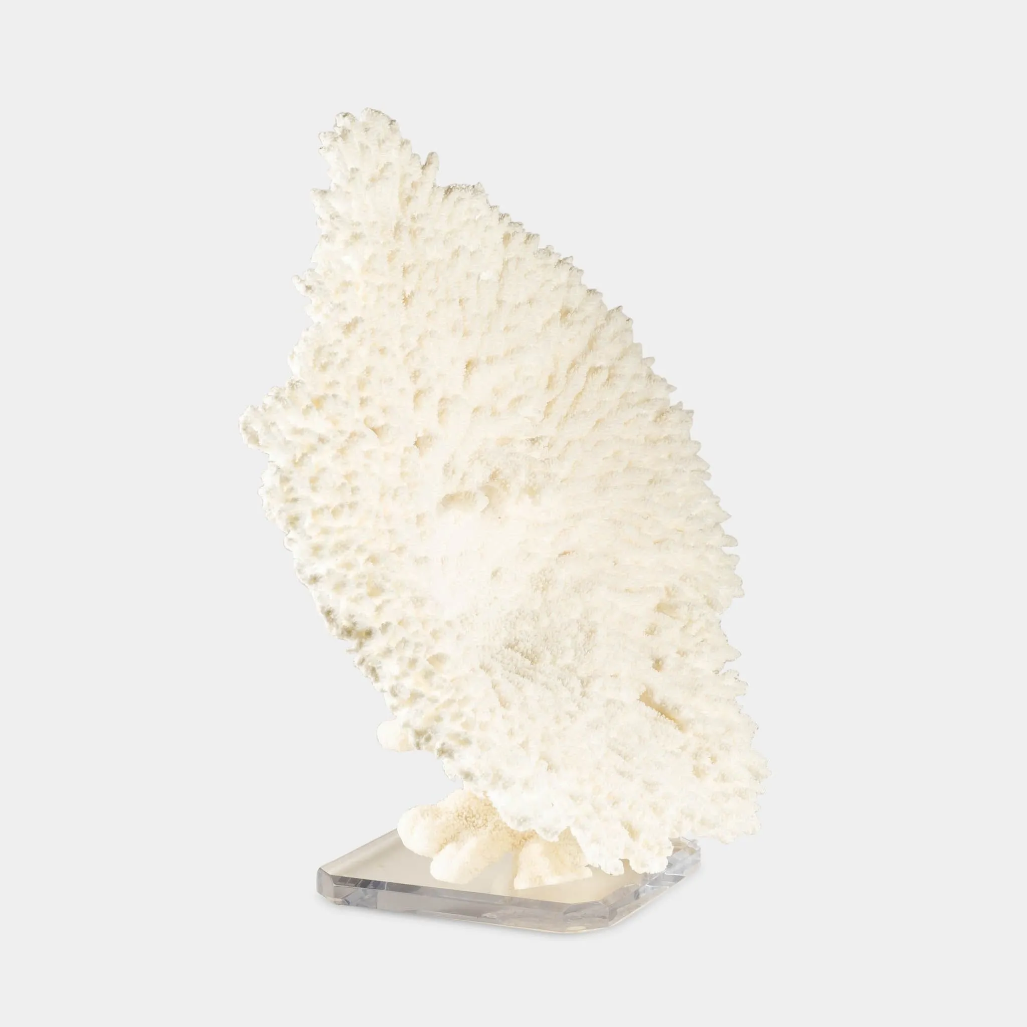 Table Coral